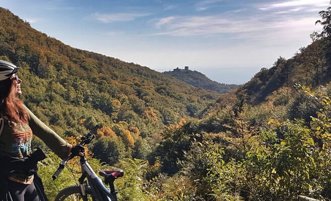 ebike1a